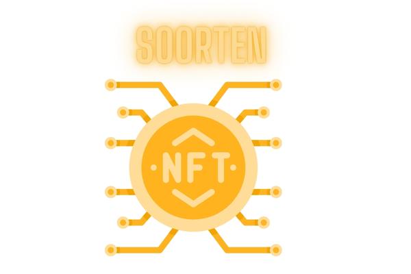 Soorten NFT