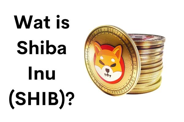 Wat is Shiba Inu (SHIB)